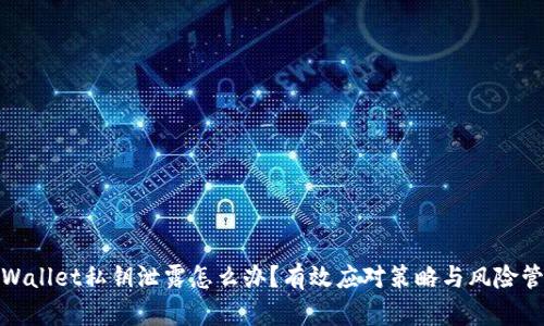 tpWallet私钥泄露怎么办？有效应对策略与风险管控