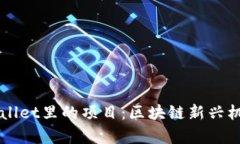 深入了解tpWallet里的项目:区块链新兴机会与投资