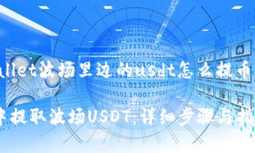 以下是关于“tpWallet波场里边的usdt怎么提币”的详细内容结构:
如何在tpWallet中提取波场USDT:详细步骤与指南