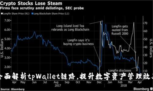 全面解析tpWallet链路，提升数字资产管理效率
