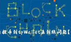 如何解决提币到tpWallet未到账问题？详细全解