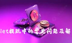 tpWallet提现中的常见问题及解决方案