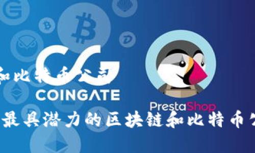 区块链和比特币公司
2023年最具潜力的区块链和比特币公司推荐