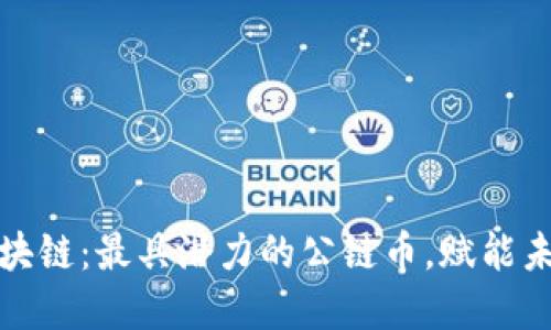 探索维拉斯区块链：最具潜力的公链币，赋能未来的数字生态