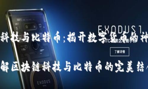 区块链科技与比特币：揭开数字货币的神秘面纱

深入理解区块链科技与比特币的完美结合