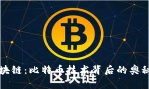 探索区块链：比特币技术背后的奥秘与应用