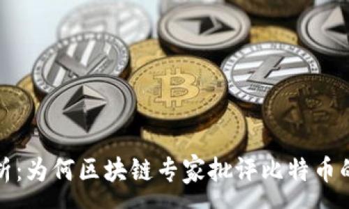 :
深入分析：为何区块链专家批评比特币的局限性