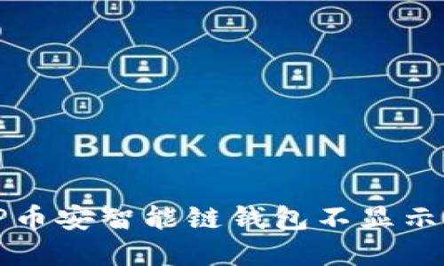 如何解决TP币安智能链钱包不显示资产的问题