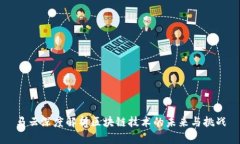 马云深度解析区块链技术的未来与挑战