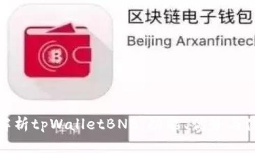 全方位解析tpWalletBNB：功能、优势与使用体验