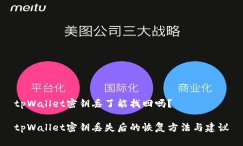 tpWallet密钥丢了能找回吗？

tpWallet密钥丢失后的恢复方法与建议