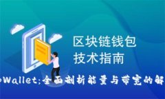 解密tpWallet：全面剖析能量与带宽的解决方案