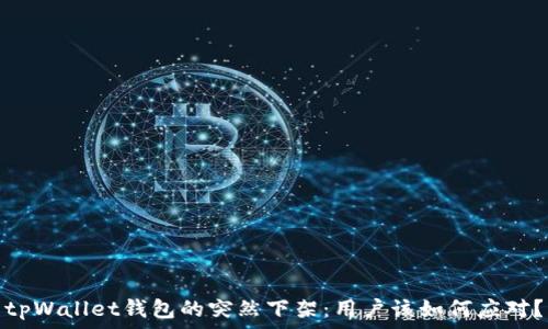   
tpWallet钱包的突然下架：用户该如何应对？