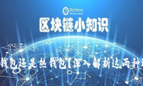 tpWallet：冷钱包还是热钱包？深入解析这两种选择的优缺点