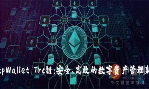 探索tpWallet Trc链：安全、高效的数字资产管理新选择
