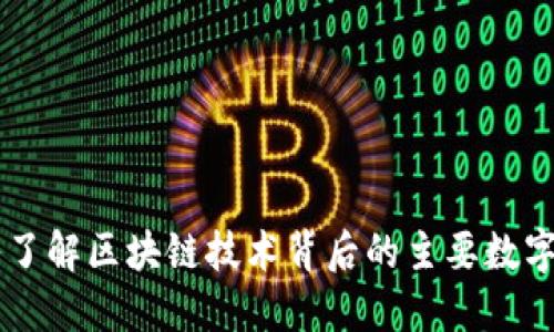 深入了解区块链技术背后的主要数字货币