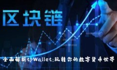 全面解析tpWallet：玩转你的数字货币世界