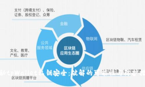 探秘tpWallet私钥安全：破解的可能性与防护措施