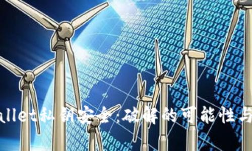 探秘tpWallet私钥安全：破解的可能性与防护措施