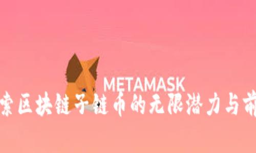 探索区块链子链币的无限潜力与前景