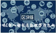tpWallet靠谱吗？深入解析这款数字钱包的安全性与