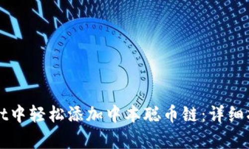 如何在tpWallet中轻松添加中本聪币链：详细指南与实用技巧