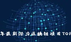 2023年最新潜力区块链项目TOP5推荐
