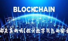 tpWallet里币都是真的吗？探讨数字钱包的安全性与