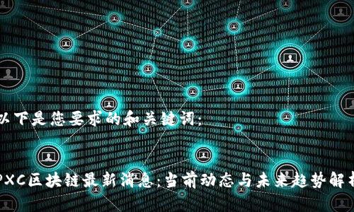 以下是您要求的和关键词：

:
PXC区块链最新消息：当前动态与未来趋势解析