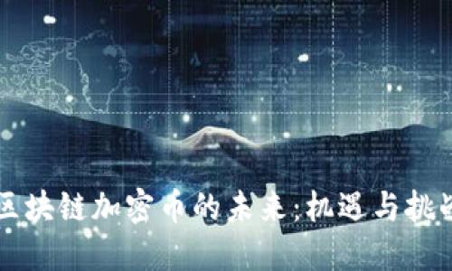 区块链加密币的未来：机遇与挑战