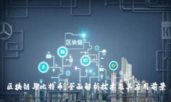 区块链与比特币：全面解析技术及其应用前景