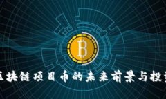 美国区块链项目币的未来前景与投资策略