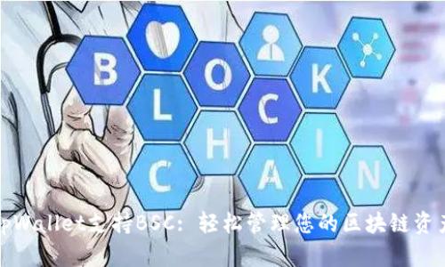 tpWallet支持BSC: 轻松管理您的区块链资产