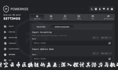   时空云币区块链的未来：深入探讨其潜力与挑战