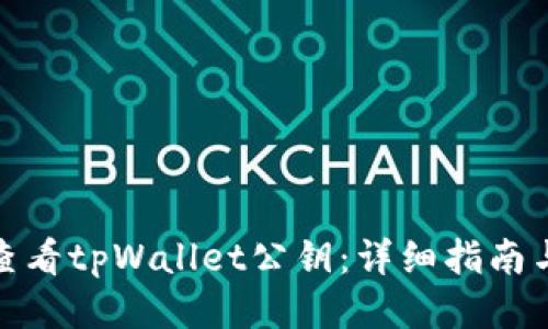 如何查看tpWallet公钥：详细指南与步骤