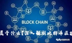 比特币的区块链属于什么？深入解析比特币区块