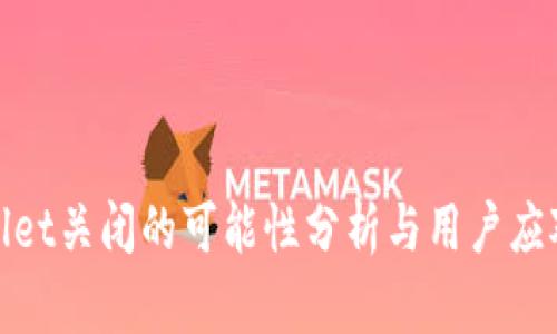 tpWallet关闭的可能性分析与用户应对策略