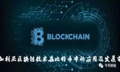 保加利亚区块链技术在比特币中的应用及发展前