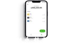 深入了解区块链币：技术、应用与未来展望