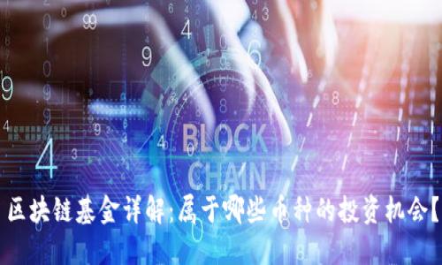 区块链基金详解：属于哪些币种的投资机会？