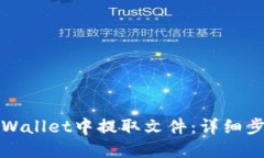 如何从tpWallet中提取文件：详细步骤与技巧